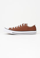 CONVERSE Sneakers Chuck Taylor All Star Canvas marroni per uomo e donna A15957C . CONVERSE 