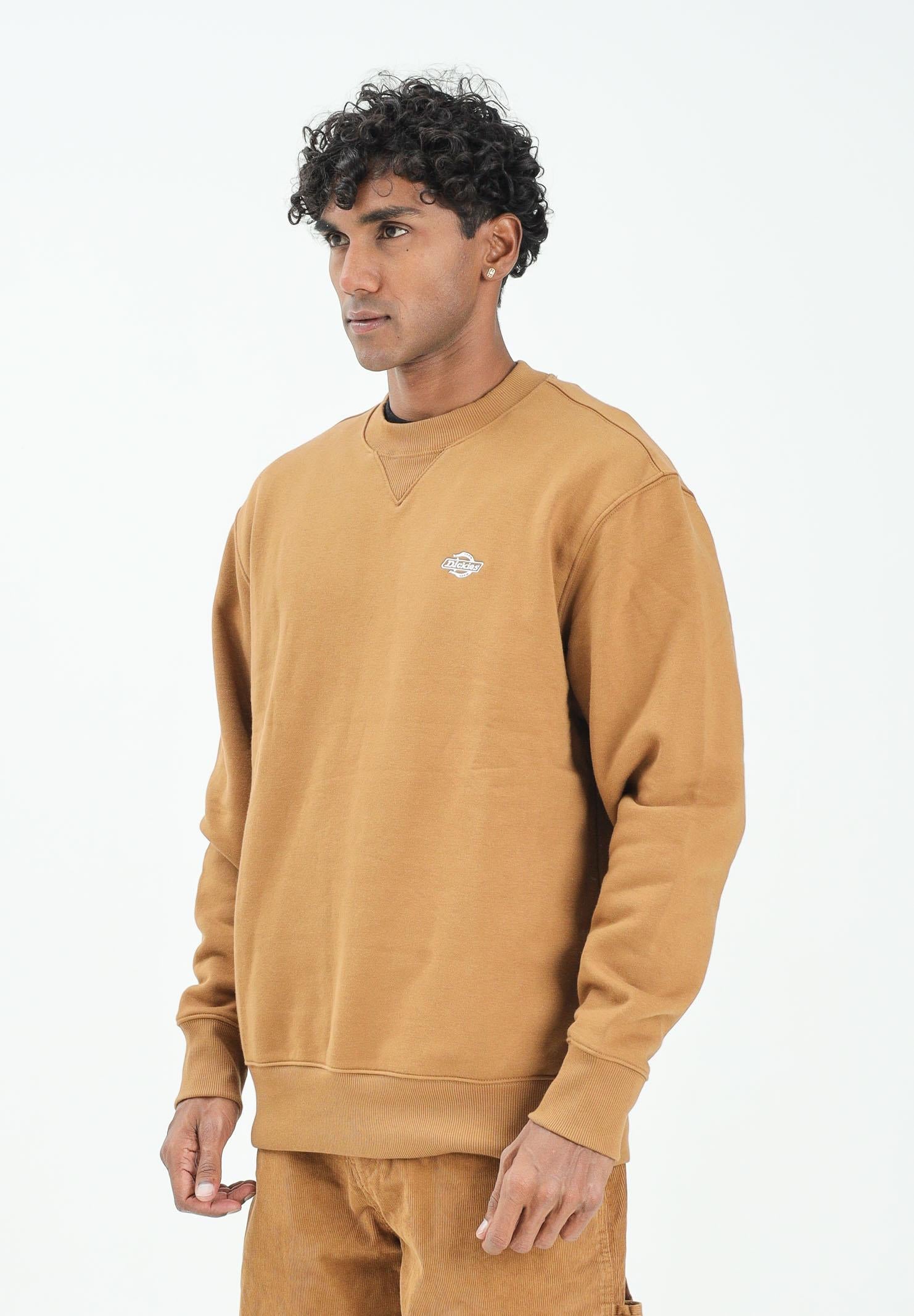 DICKIES Felpa girocollo Summerdale cammello da uomo DK0A4Y6Q0BD1  DIckies 