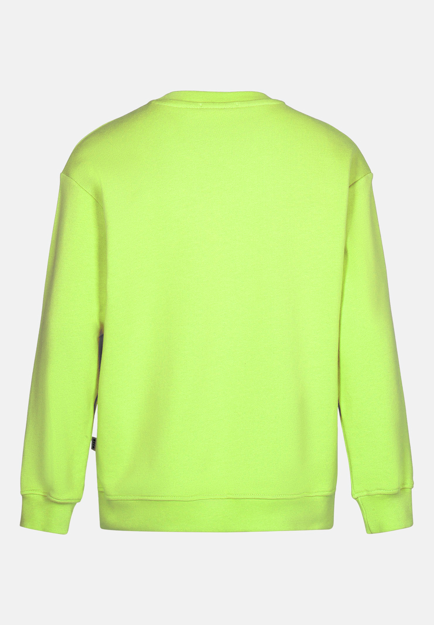 Green crewneck sweatshirt for boys with logo MSGM | MS029322086