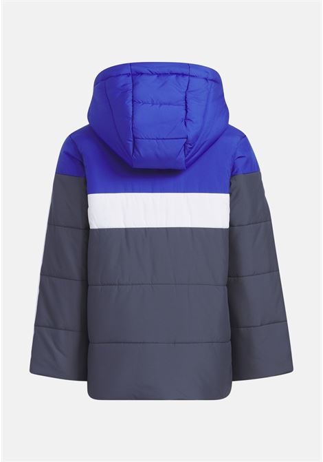 Blue child's jacket ADIDAS PERFORMANCE | Jackets | IL6081.