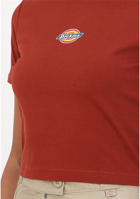 Women's brick crop t-shirt with logo print DIckies | T-shirt | DK0A4XPOG041G041