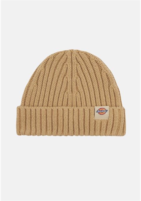 Beige knitted hat for men DIckies | Hats | DK0A4YHPF951F951