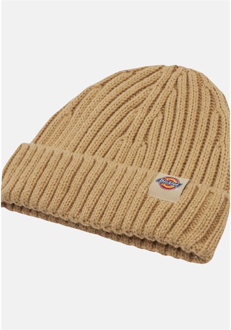 Beige knitted hat for men DIckies | Hats | DK0A4YHPF951F951