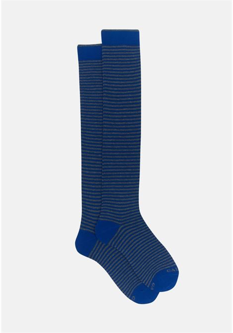 Long men's socks with alternating blue and gray stripes for men GALLO | Socks | AP10290130727