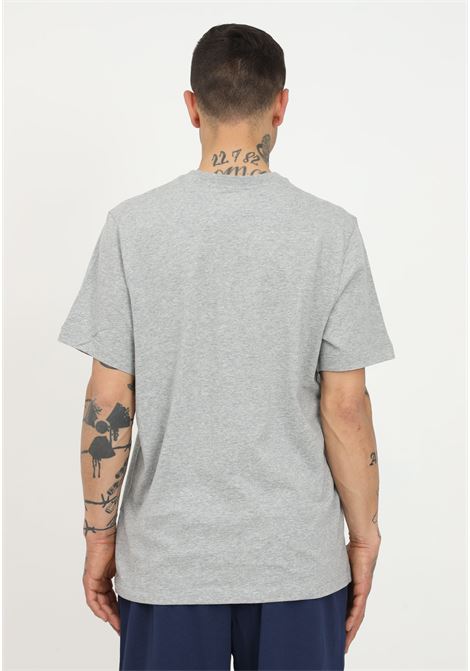 Men?s grey short-sleeved t-shirt with contrasting logo NIKE | T-shirt | AR4997064