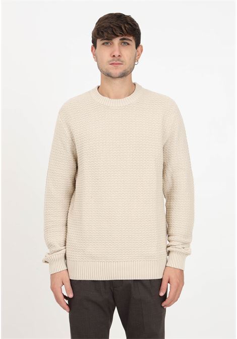 Beige pullover with a varied texture for men SELECTED HOMME | Knitwear | 16091738OATMEAL