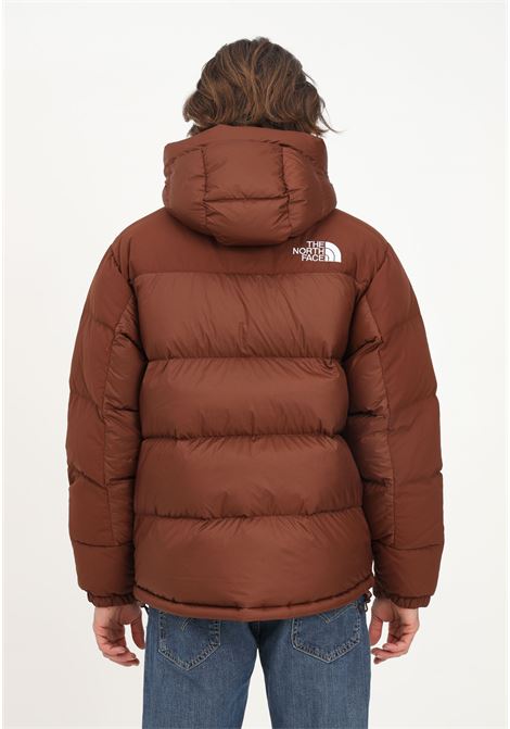 Brown down jacket for men and women with logo embroidery THE NORTH FACE | Jackets | NF0A4QYX6S216S21