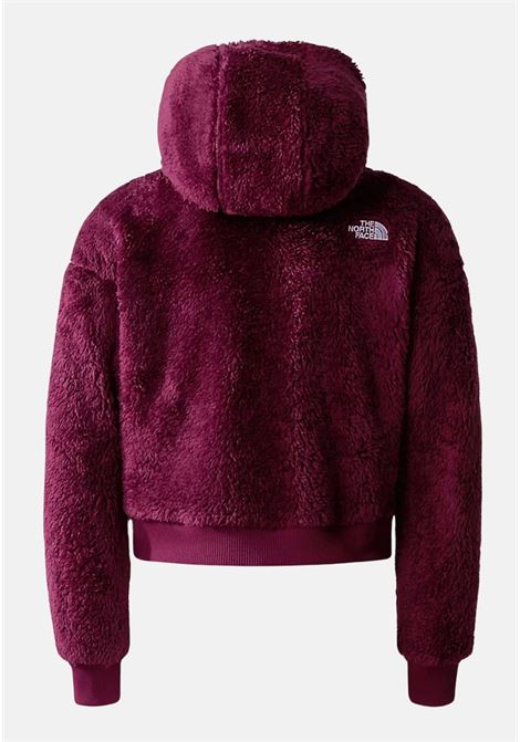 Suave Oso full zip hoodie for girls THE NORTH FACE | NF0A84N4I0H1I0H1