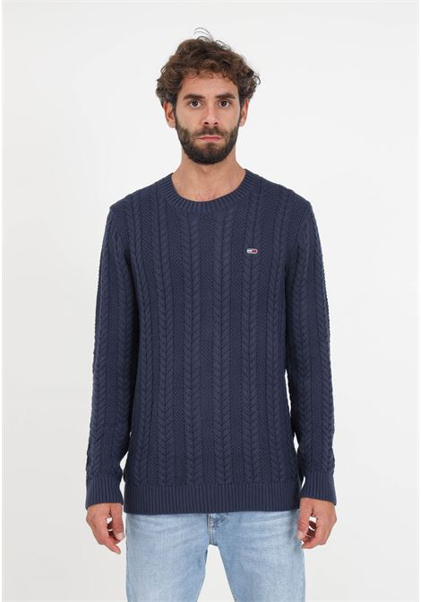 Blue knitted sweater with men's logo TOMMY JEANS | Knitwear | DM0DM15059C87C87