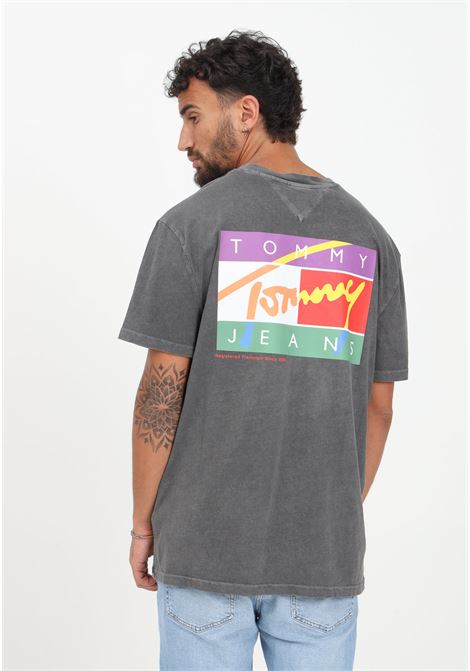 Gray men's t-shirt with signature logo on the back TOMMY JEANS | T-shirt | DM0DM16827BDSBDS