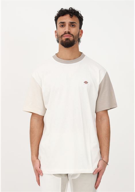 Casual white men's t-shirt with different color inserts and logo patch DIckies | T-shirt | DK0A4Y8SC581C581