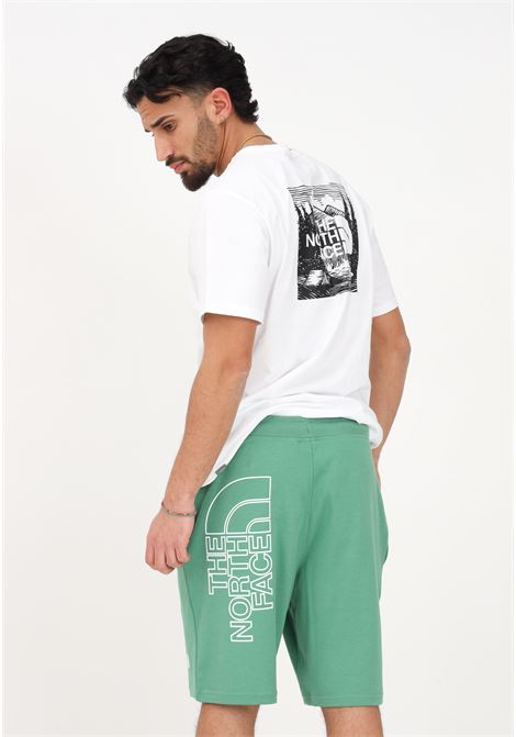 Shorts sportivo Graphic Light verde da uomo THE NORTH FACE | Shorts | NF0A3S4FN111N111
