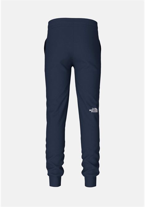 Blue sports trousers for boys and girls with logo THE NORTH FACE | Pants | NF0A82EI8K21BK21