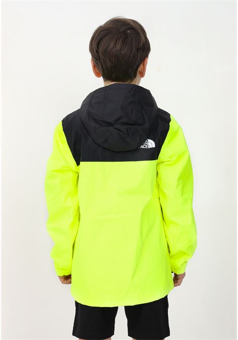  THE NORTH FACE | Jacket | NF0A82ES8NT18NT1