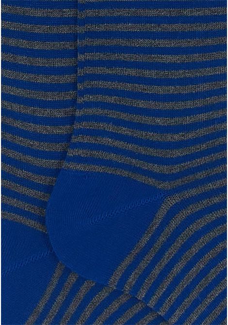Calzini lunghi da uomo a bande alternate blu e grigi con logo fantasia windsor GALLO | Calzini | AP10290130727