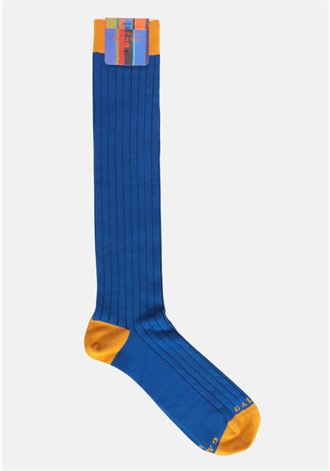 Long blue socks with yellow details for men GALLO | Socks | AP51105310756