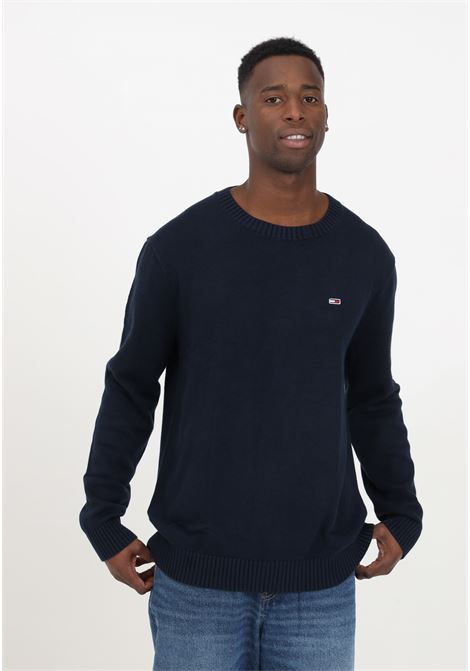 Blue men's sweater with logo embroidered on the front TOMMY JEANS | Hoodie | DM0DM18370C1GC1G